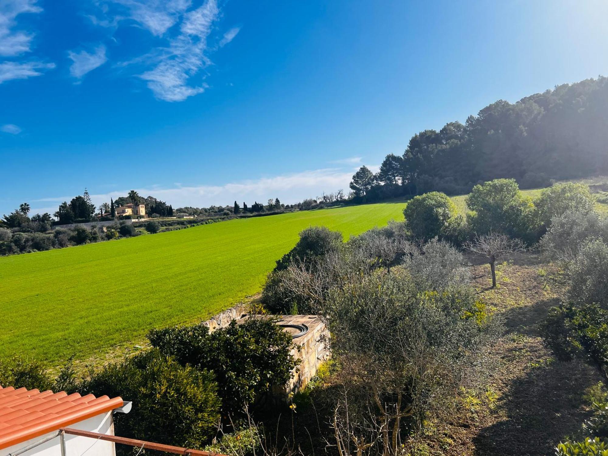 Es Puig Villa Santa Margalida Exteriör bild