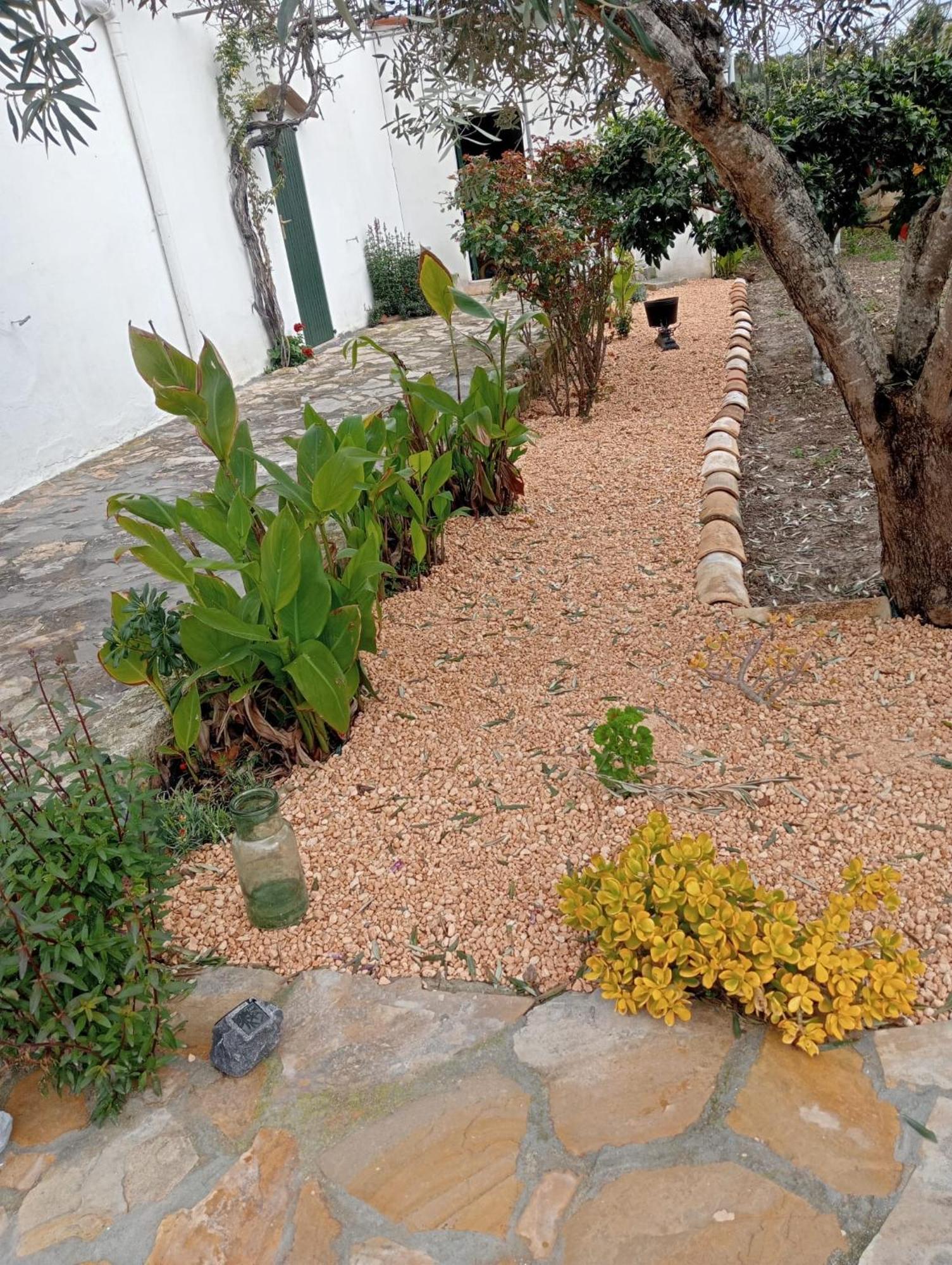 Es Puig Villa Santa Margalida Exteriör bild